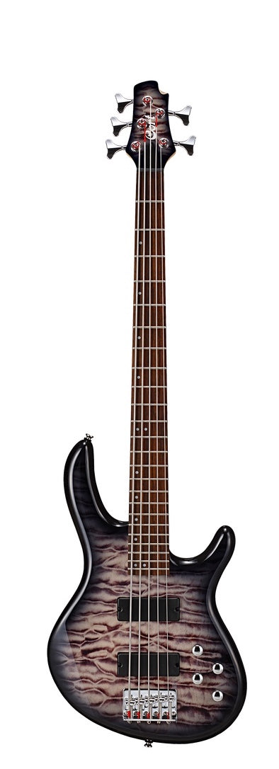 Cort ActionDLX V FGB 5 String Bass