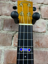 Load image into Gallery viewer, Mahalo Gloss Brown Concert Uke -WIDE NECK